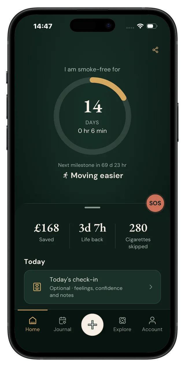 Quit It iPhone dashboard with Today's check-in below smoke-free time and savings