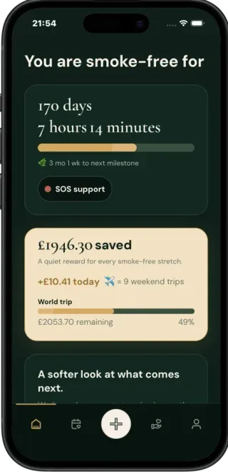 Quit It progress dashboard showing smoke-free timer, health milestones, and savings counter