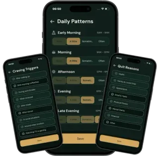 Quit It onboarding screens showing quit method selection and personal reasons