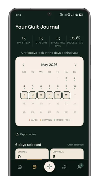 Quit It quit journal showing a reflective calendar of logged smoke-free days and cravings